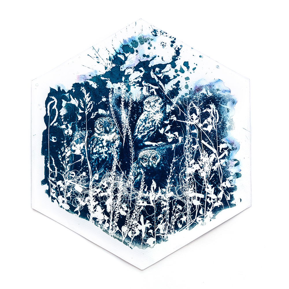 Hexagonal mixed-media print combining cyanotype sunprint with watercolour, ink and thread depicting nocturnal "Midnight Garden" scene of owls by artist Natalie Field