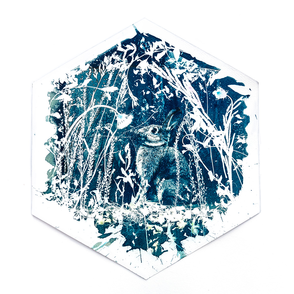Hexagonal mixed-media print combining cyanotype sunprint with watercolour, ink and thread depicting nocturnal "Midnight Garden" scene of rabbit in a burrow by artist Natalie Field