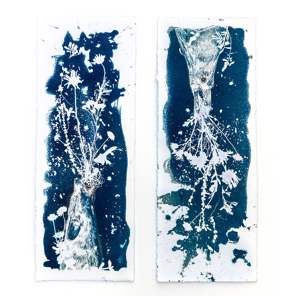 Mixed-media diptych combining cyanotype sunprint with watercolour and ink depicting nocturnal "Midnight Garden" scene of fox and crow by contemporary artist Natalie Field