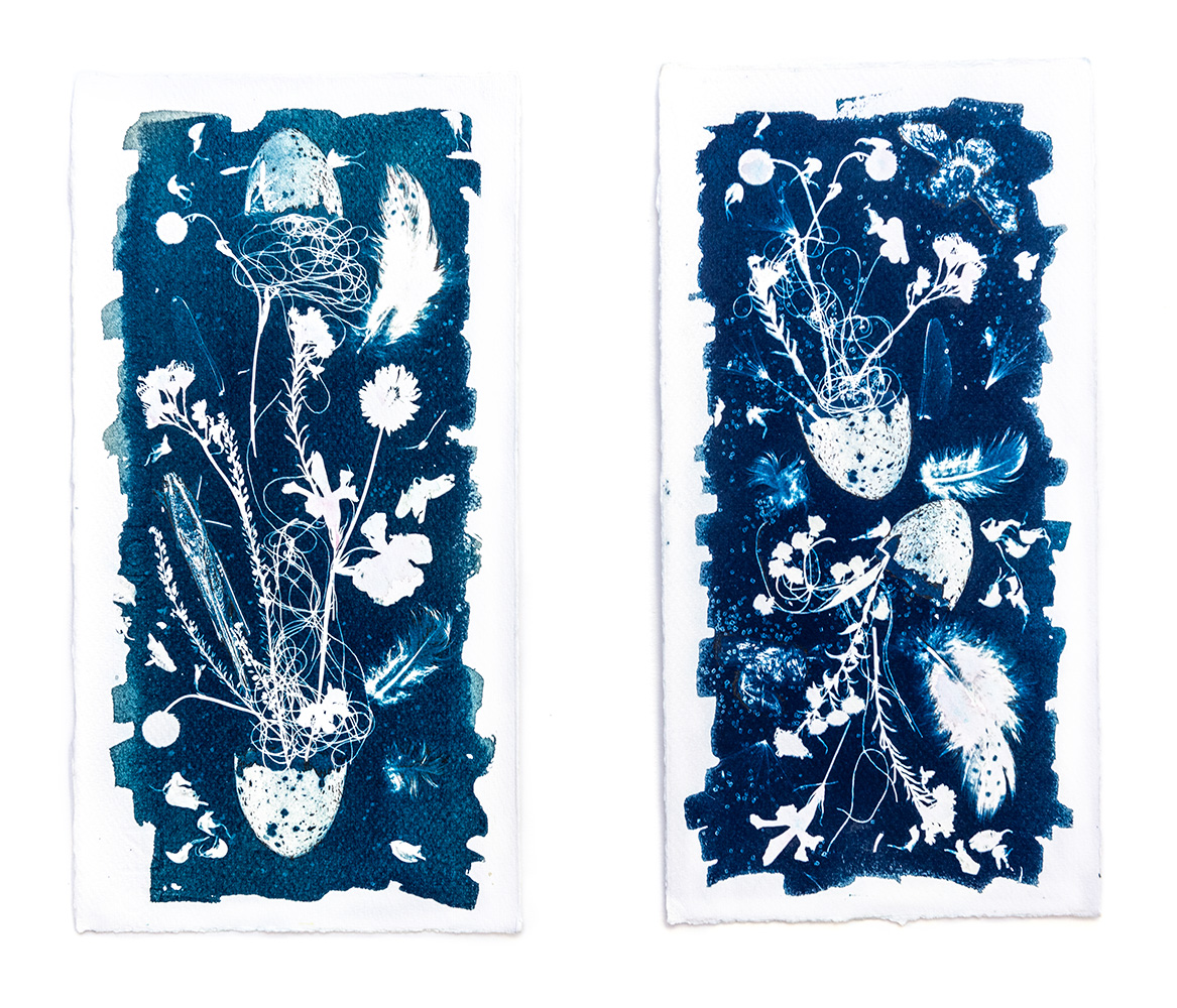 Mixed-media diptych combining cyanotype sunprint with watercolour and ink depicting nocturnal "Midnight Garden" scene of new life flowing from broken eggs by contemporary artist Natalie Field