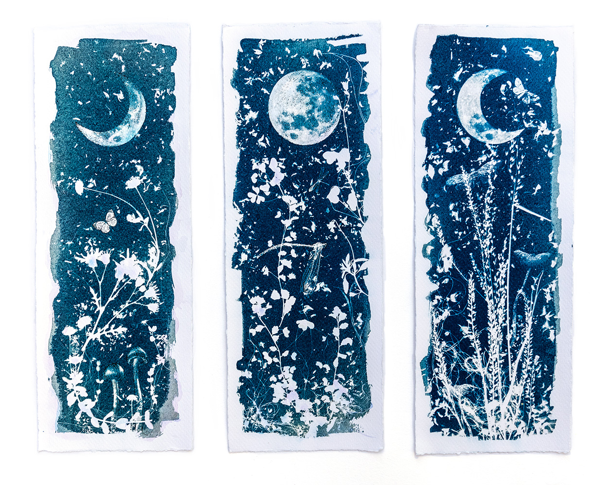 Mixed-media diptych combining cyanotype sunprint with watercolour and ink depicting nocturnal "Midnight Garden" scene of the maiden, the mother and the crone by contemporary artist Natalie Field