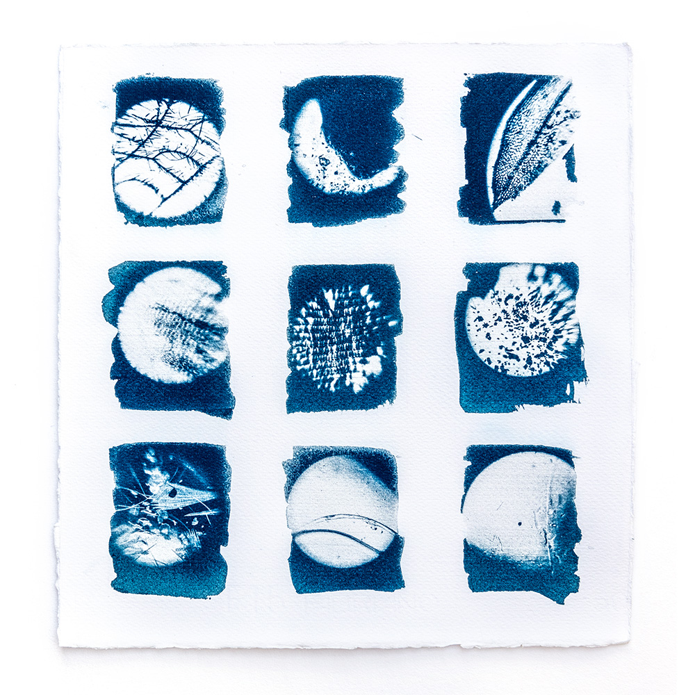 Mixed-media diptych combining cyanotype sunprint with watercolour and ink depicting nocturnal "Midnight Garden" scene of abstract moon phases of the microcosm captured with Foldscope by contemporary artist Natalie Field