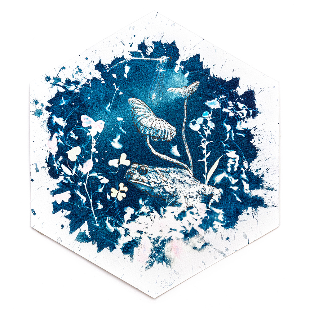 Hexagonal mixed-media print combining cyanotype sunprint with watercolour, ink and thread depicting nocturnal "Midnight Garden" scene of toad sitting on toadstoolby artist Natalie Field