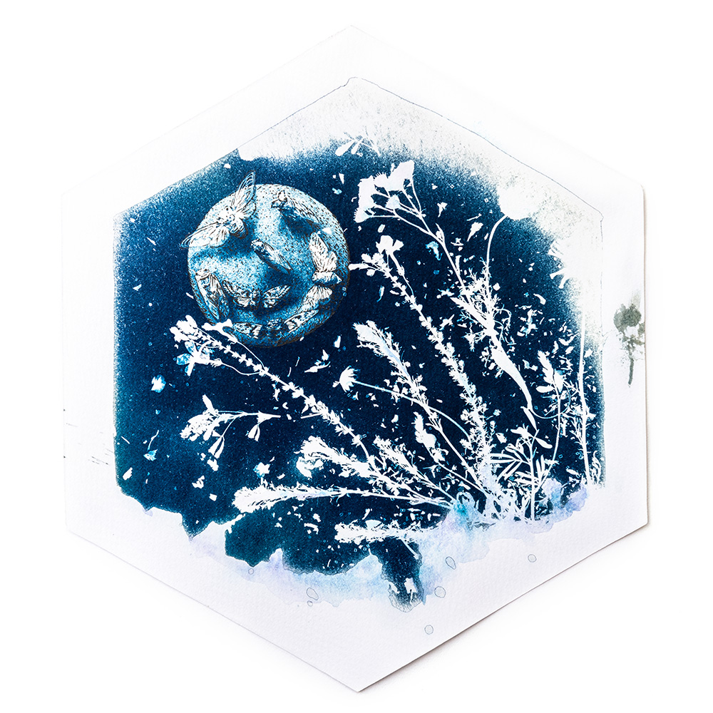 Hexagonal mixed-media print combining cyanotype sunprint with watercolour, ink and thread depicting nocturnal "Midnight Garden" scene of cicada flying out of field of flowersby artist Natalie Field