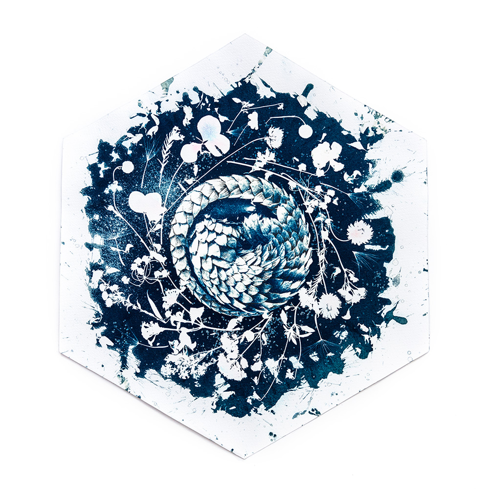 Hexagonal mixed-media print combining cyanotype sunprint with watercolour, ink and thread depicting nocturnal "Midnight Garden" scene of pangolin curled up on bed of flowers by artist Natalie Field