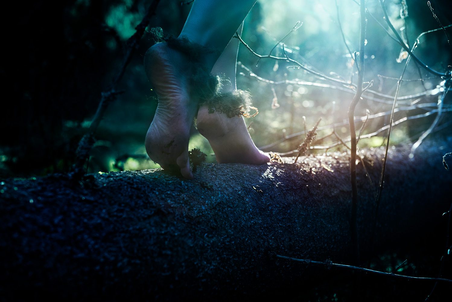 Conceptual fine art photography cinematic tableaux of feet walking on stump in woods towards the light by contemporary artist and photographer Natalie Field
