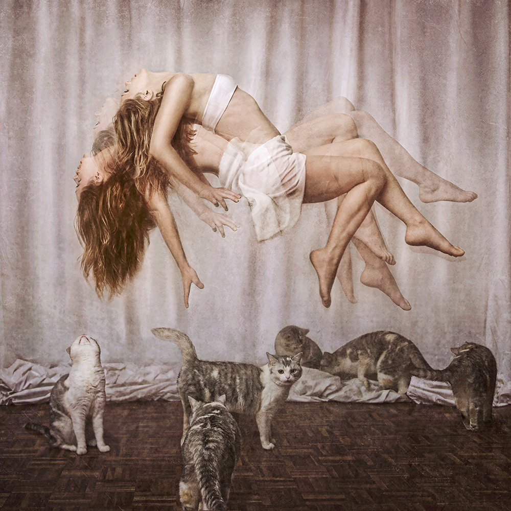 New contemporary digital art morphing human body with organic form using photomontage and photo-manipulation techniques created by surrealist artist Natalie Field