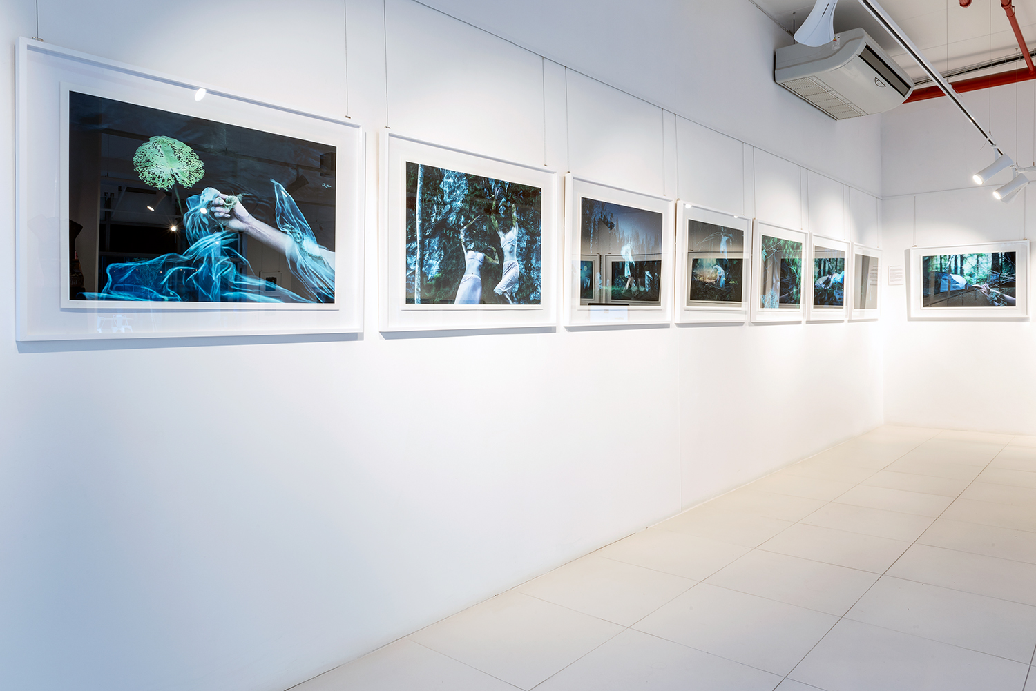 Photography and photomontage by new contemporary artist Natalie Field exhibition catalogue at Human.Nature solo show at Berman Contemporary in Johannesburg, South Africa.