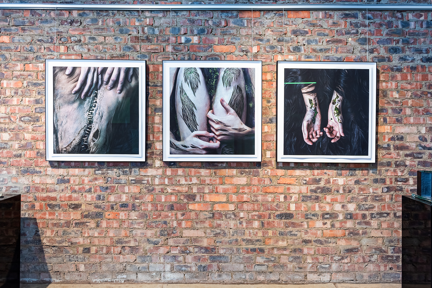 New contemporary art of human body captured as self-portraits by biosurrealist Natalie Field on exhibition in South Africa art gallery Berman Contemporary