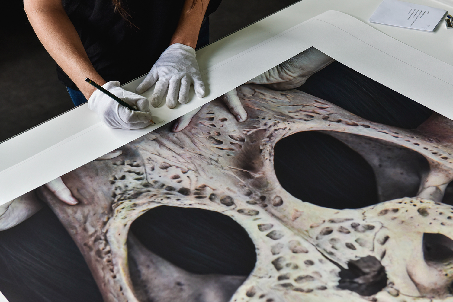 Signing of new limited edition print of contemporary artwork of human body captured as self-portraits by biosurrealist Natalie Field on exhibition in South Africa art gallery Berman Contemporary