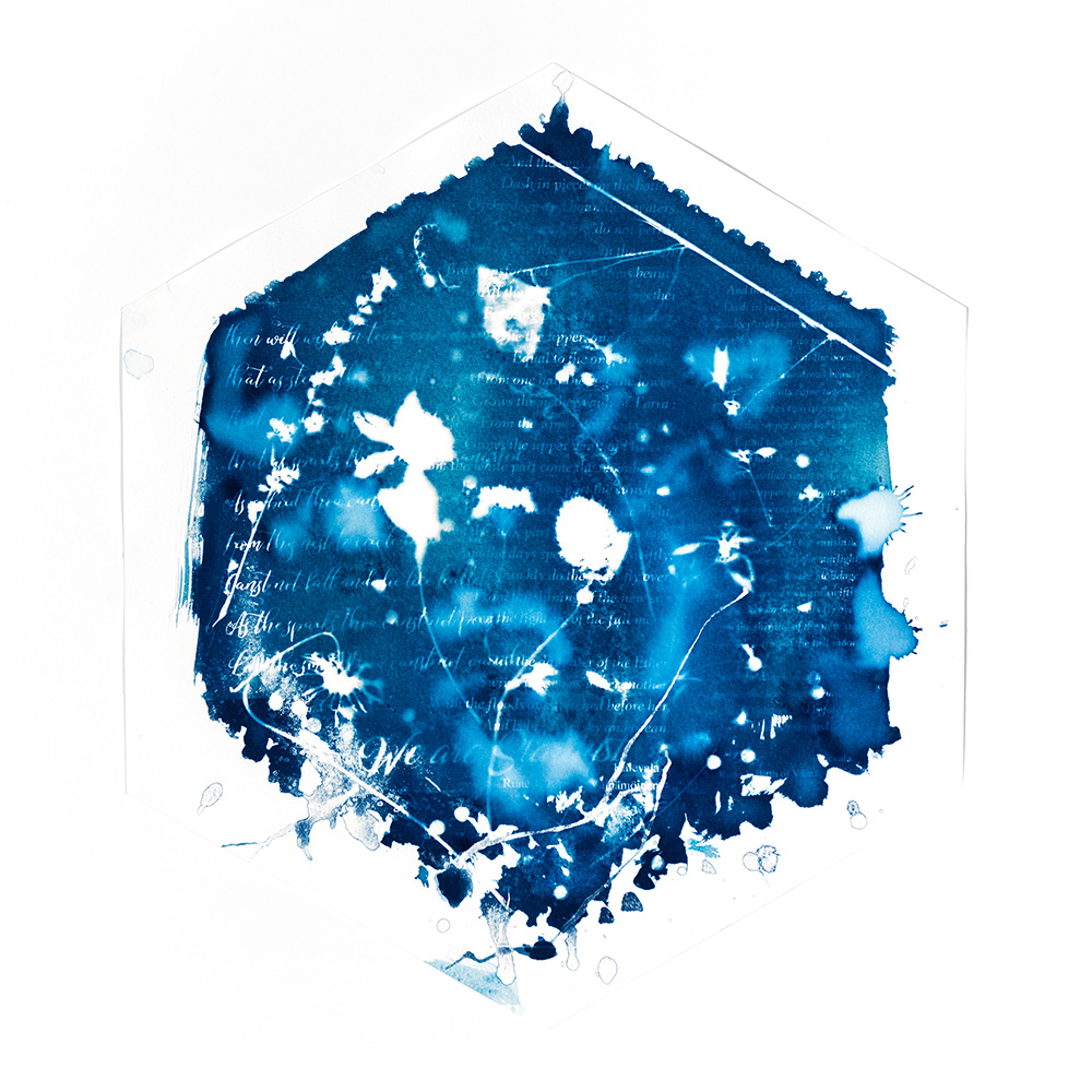 Alternative Photography using cyanotype technique to create photograms of flowers combined with poetry and annotations by artist Natalie Field