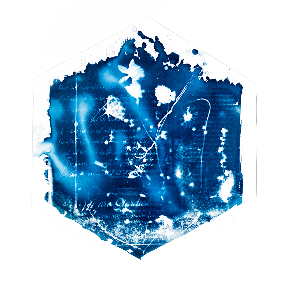 Alternative Photography using cyanotype technique to create photograms of flowers combined with poetry and annotations by artist Natalie Field
