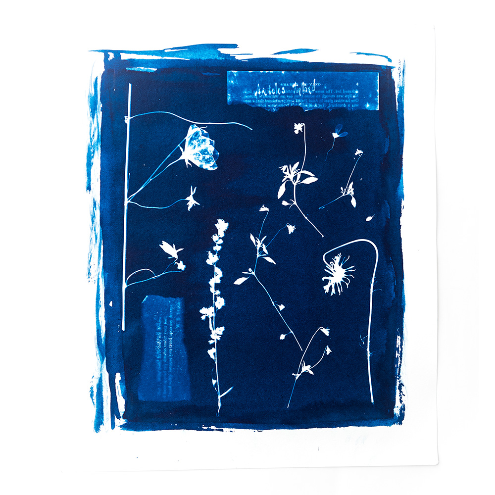 Alternative Photography using cyanotype technique to create photograms of flowers combined with poetry and annotations by artist Natalie Field