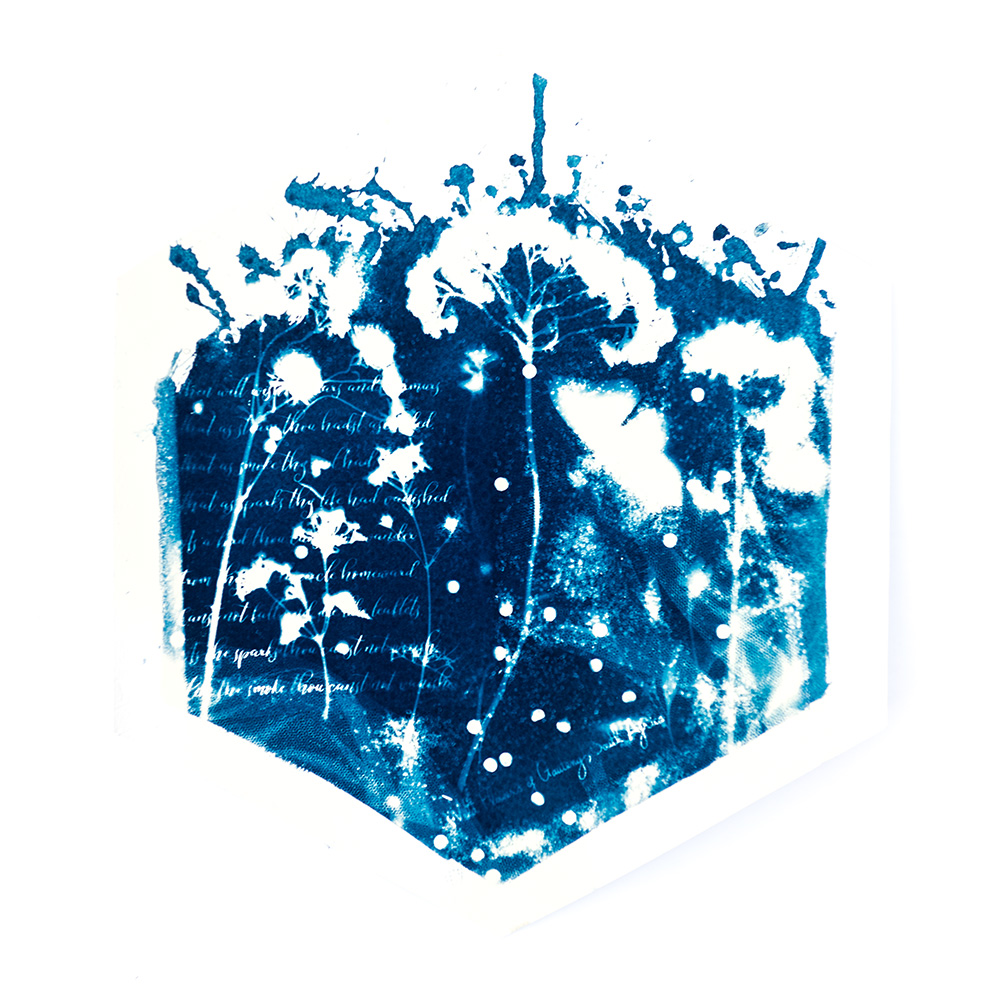 Alternative Photography using cyanotype technique to create photograms of flowers combined with poetry and annotations by artist Natalie Field