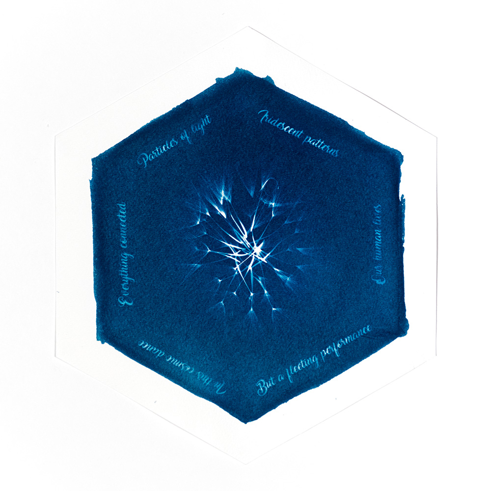Alternative Photography using cyanotype technique to create photograms of flowers combined with poetry and annotations by artist Natalie Field