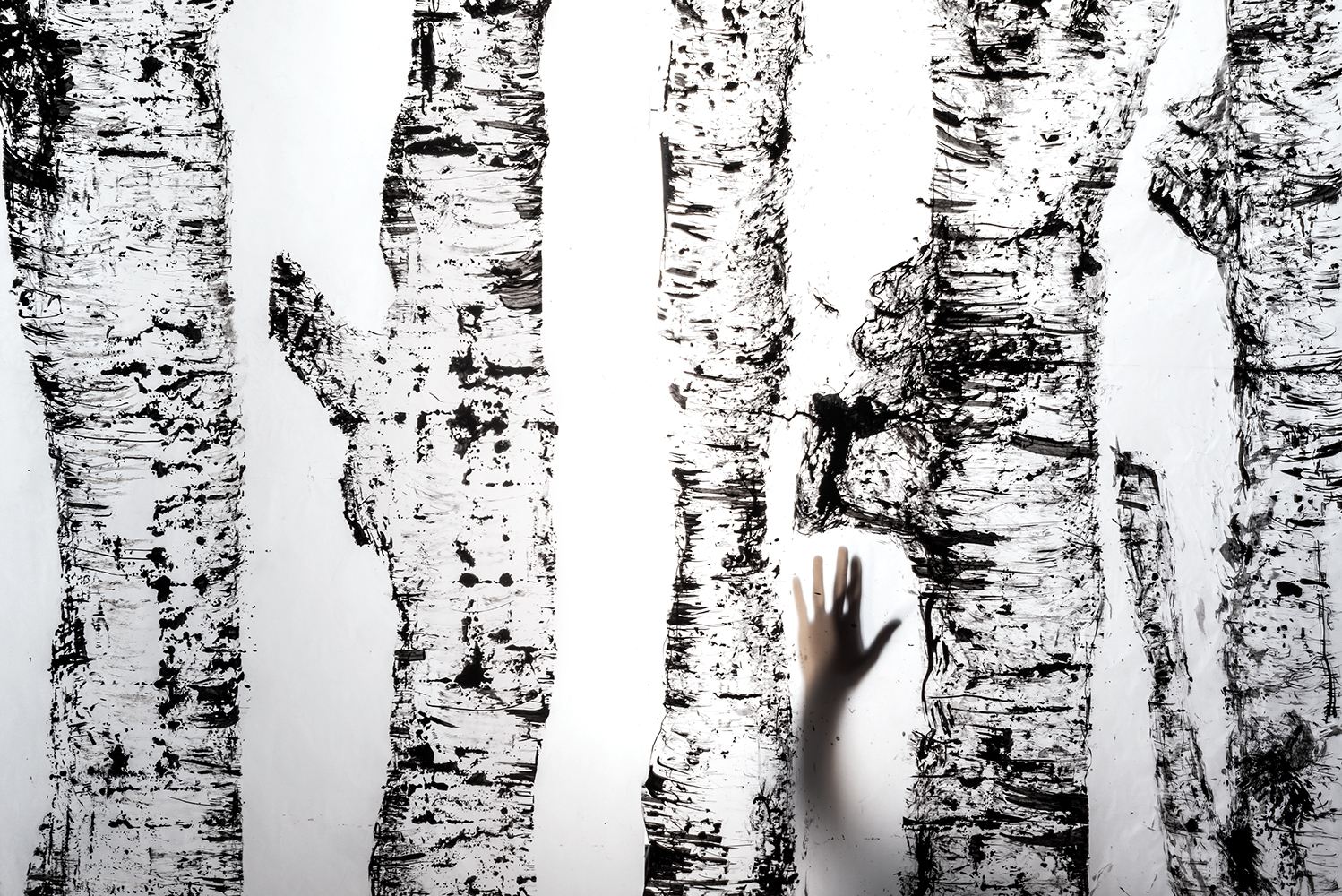 Installation view of paper Installation of tree impressions created by rolling inked tree stumps by nature artist Natalie Field