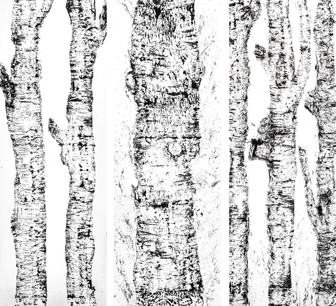 Paper Installation of tree impressions created by rolling inked tree stumps by nature artist Natalie Field