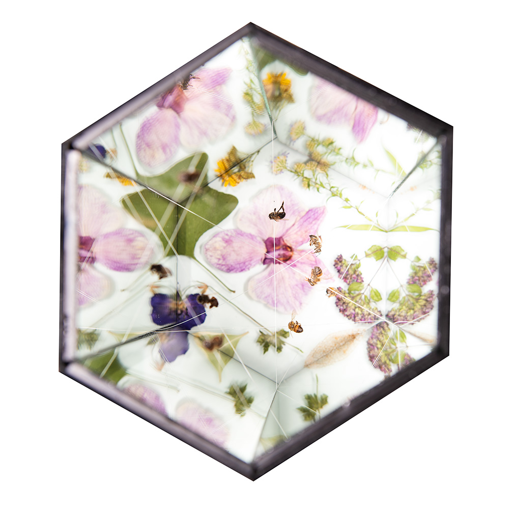 Assemblage art with Bees, Mirror, Cardboard, Ink, Gut, Glass, Flowers by Natalie Field