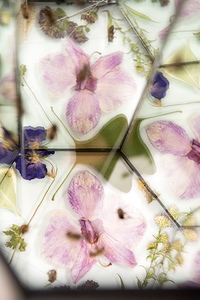 Assemblage art with Bees, Mirror, Cardboard, Ink, Gut, Glass, Flowers by Natalie Field