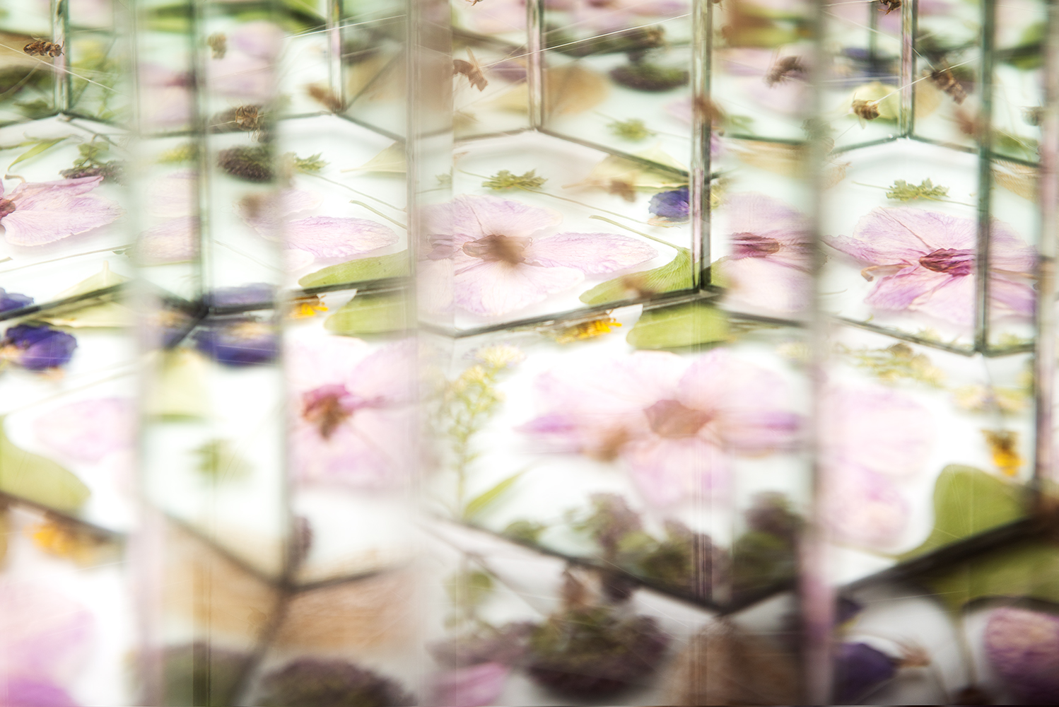 Assemblage art with Bees, Mirror, Cardboard, Ink, Gut, Glass, Flowers by Natalie Field