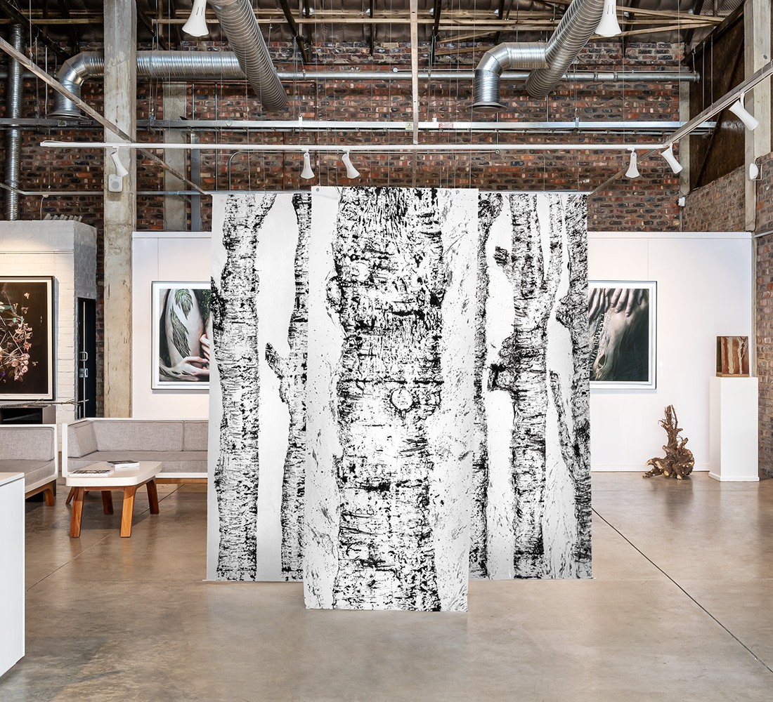 Paper Installation of tree impressions created by rolling inked tree stumps by nature artist Natalie Field