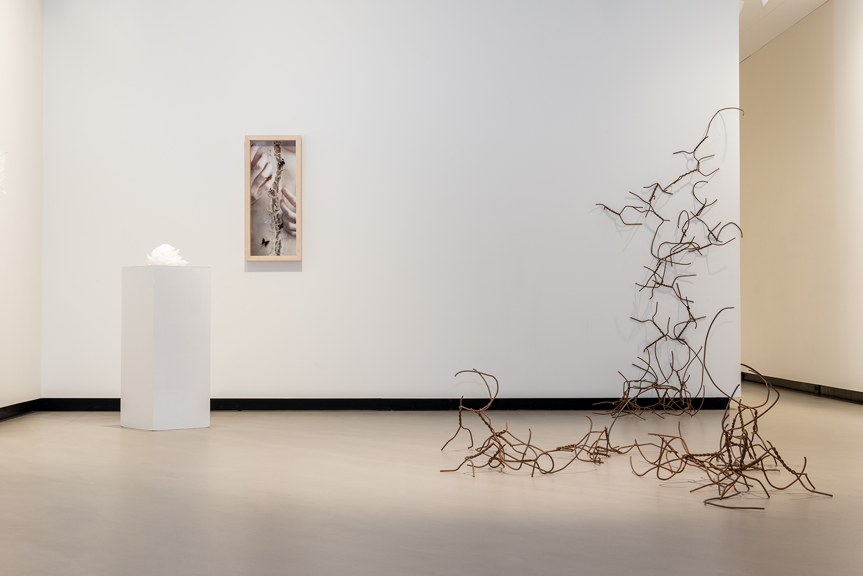 Natalie Field contemporary artist exhibiting photomanipulation and taxidermy at K-U-K Kj&oslash;pmannsgata Ung Kunst