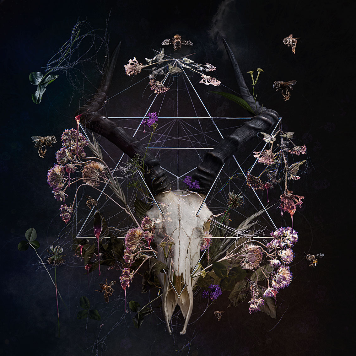 New contemporary hyper collage lens-based art of impala skull with pink wild flowers, bees and dripping honey by South African artist Natalie Field