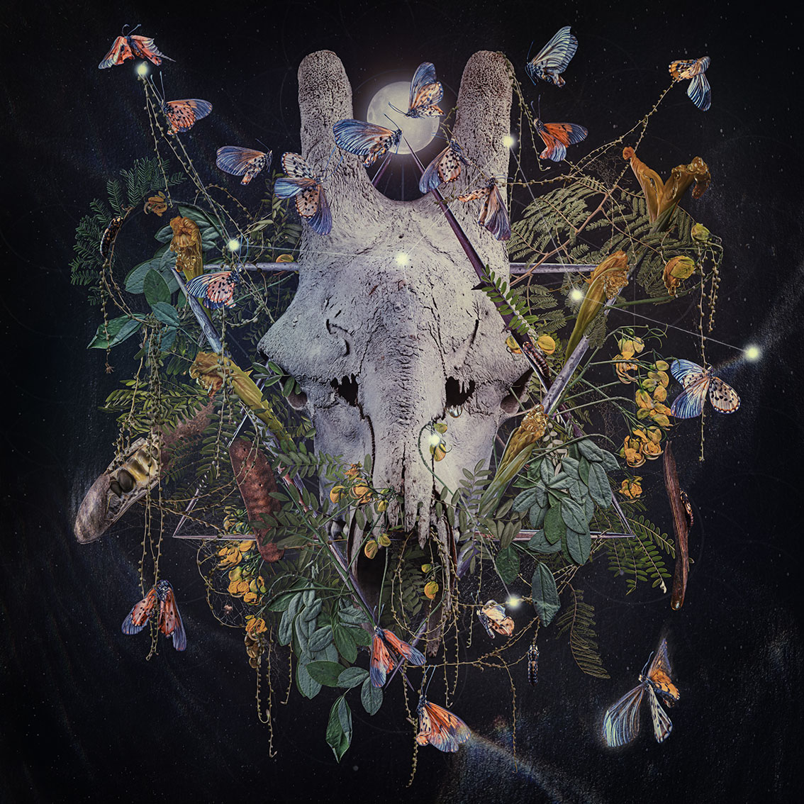 New contemporary hyper collage lens-based art of giraffe with acacia and acraea horta butterflies in memory of Zarafa by South African artist Natalie Field