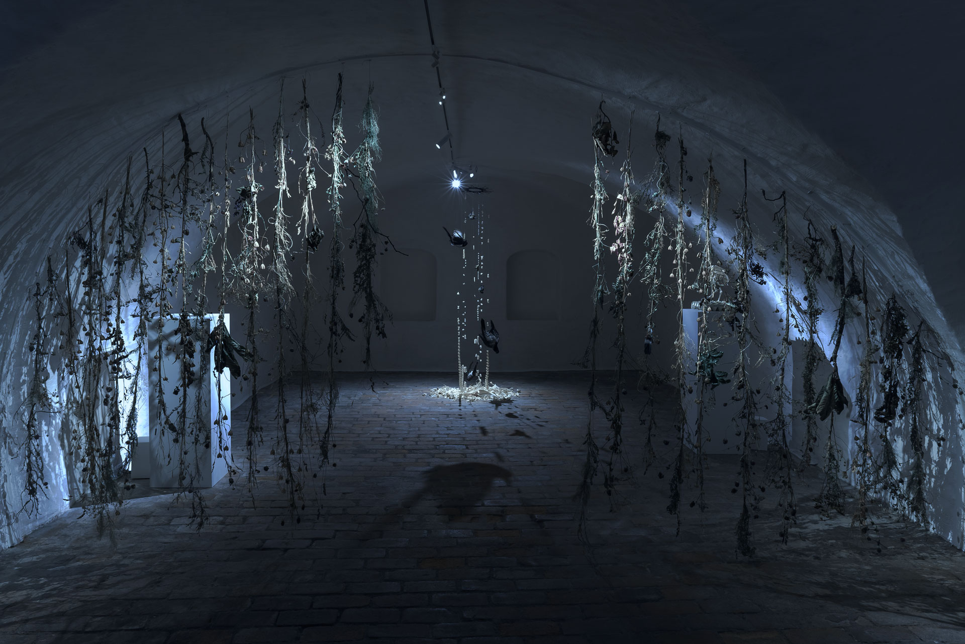 "Museum of Extinction" installation view at Kj&oslash;pmannsgata Ung Kunst (K-U-K) in Trondheim, Norway
